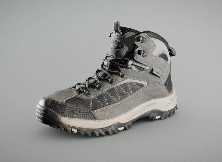 Trekking shoe